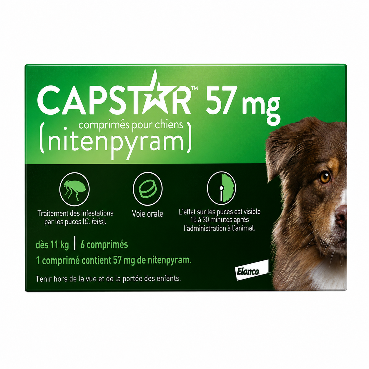 CAPSTAR 57 mg comprimés pour grands chiens ≥ 11 kg boîte de 6 comprimés