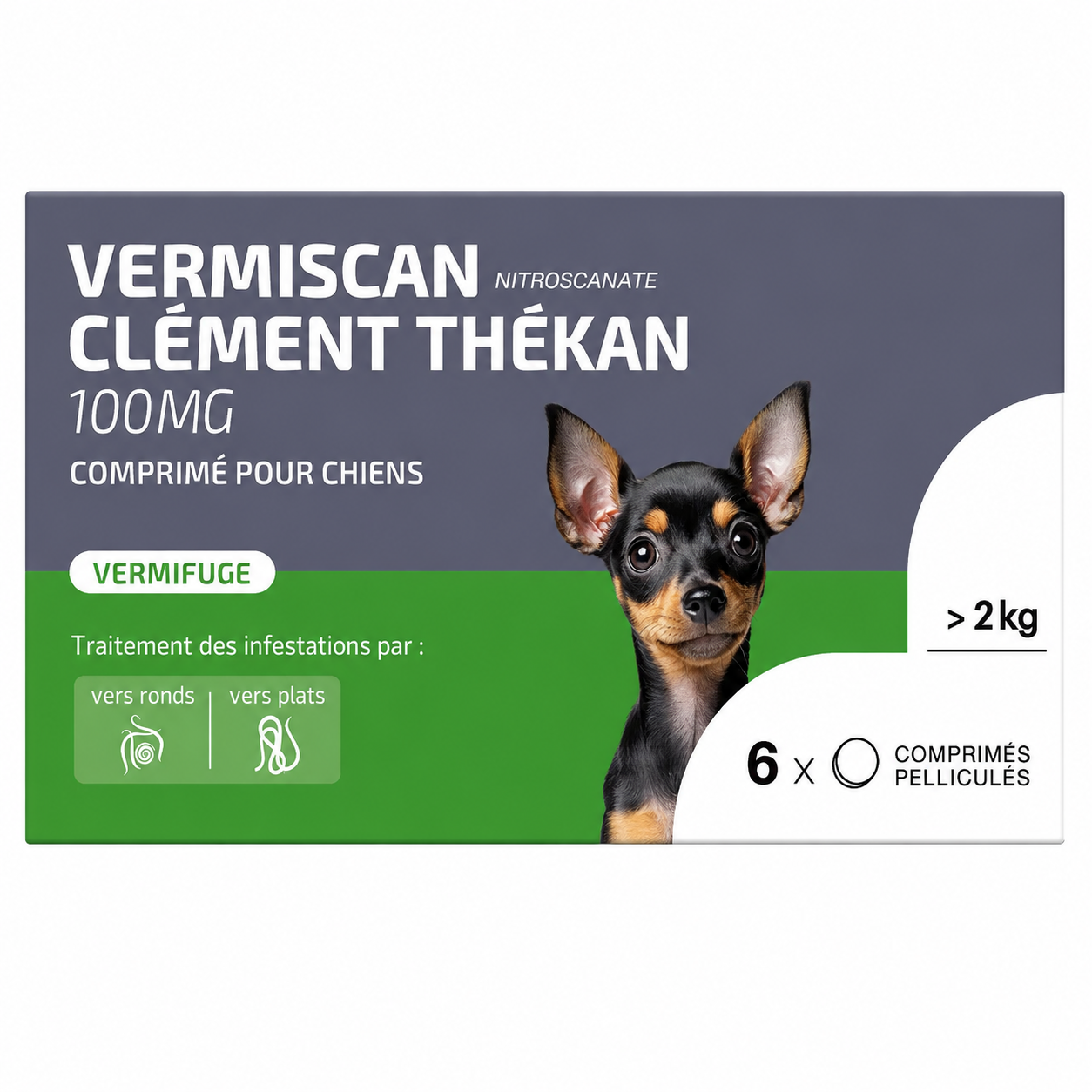 VERMISCAN 100 mg comprimés pelliculés pour chiens ≥ 2 kg boîte de 6 comprimés