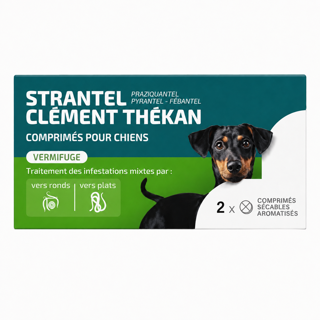 STRANTEL comprimés pour chiens ≥ 10kg boîte de 2 comprimés sécables