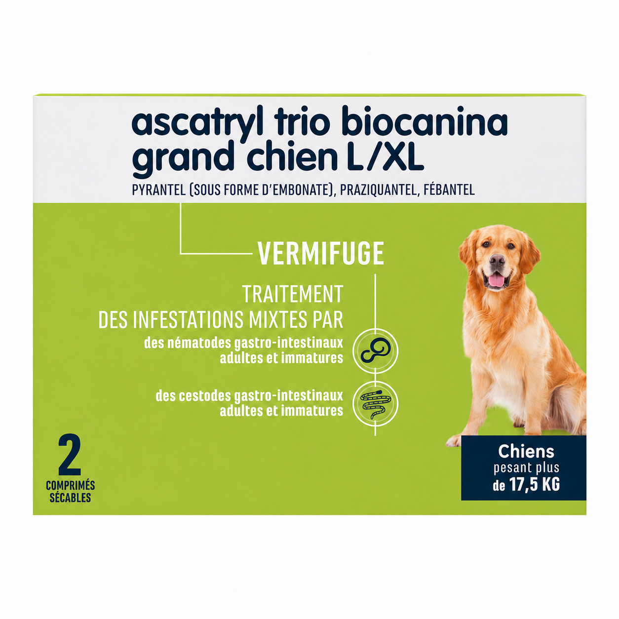 ASCATRYL TRIO GRAND CHIEN L/XL pour chiens boîte de 2 comprimés sécables