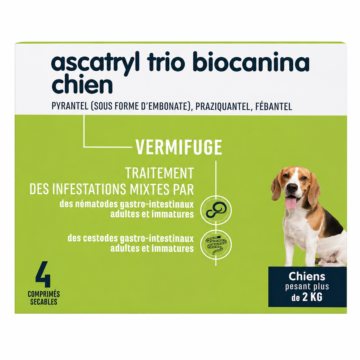 ASCATRYL TRIO pour chiens boîte de 4 comprimés sécables