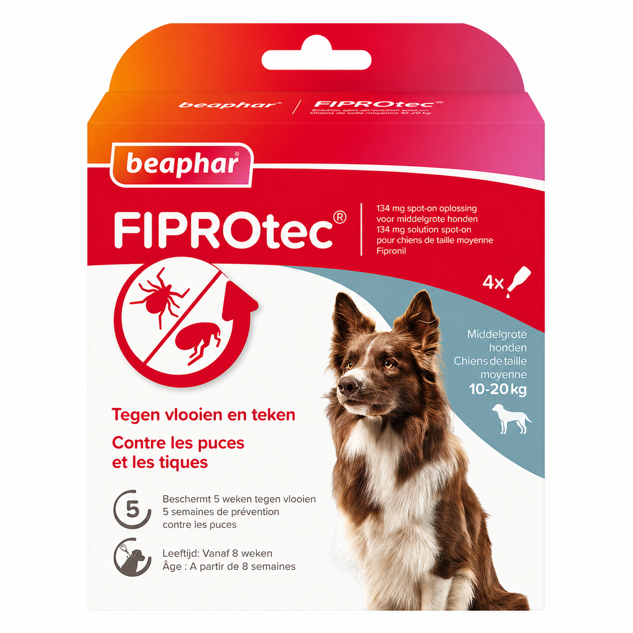 FIPROTEC 134 mg solution spot-on pour moyens chiens (10-20 kg) 4 pipettes de 1,34 ml