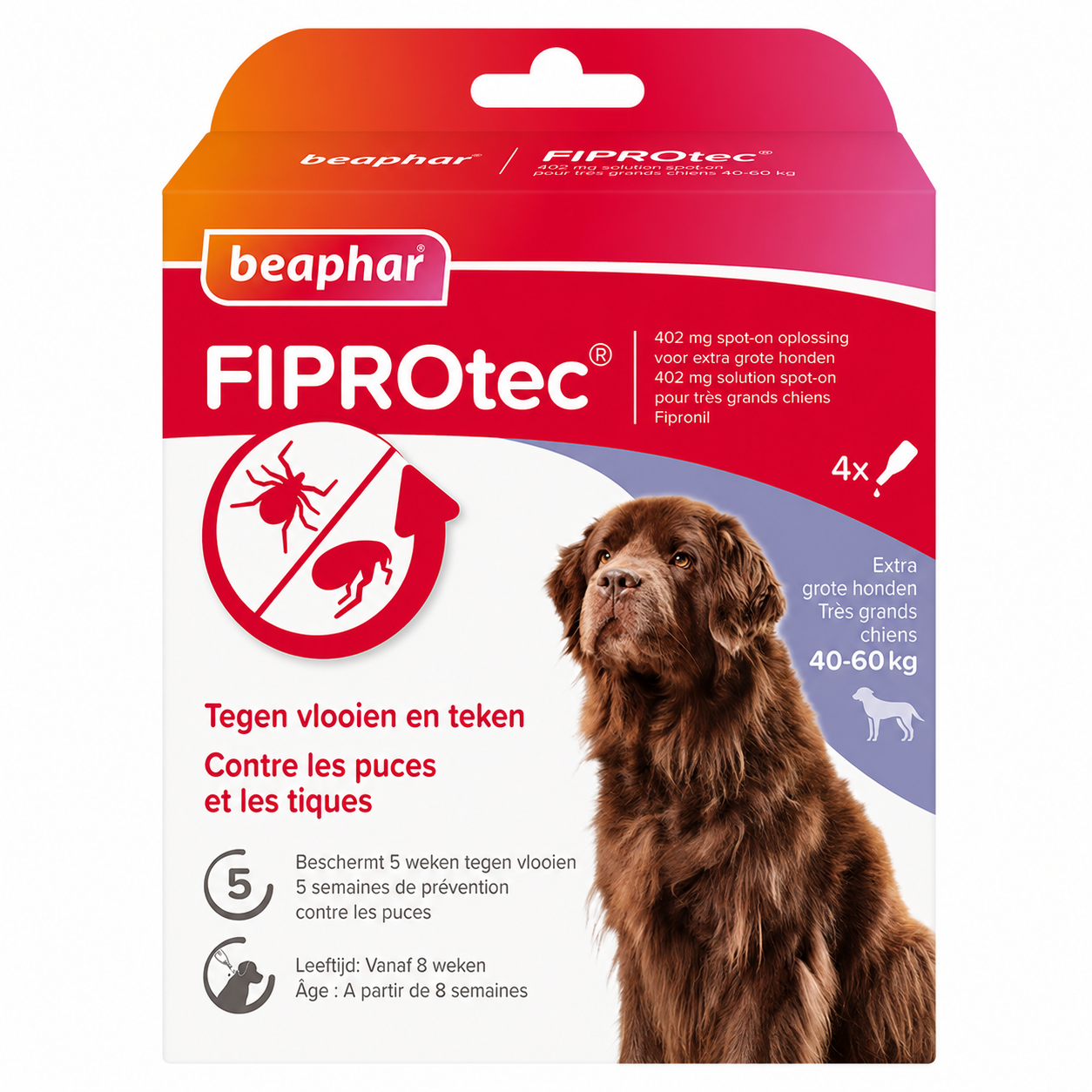 FIPROTEC 402 mg solution spot-on pour moyens chiens (40-60 kg) 4 pipettes de 4,02 ml