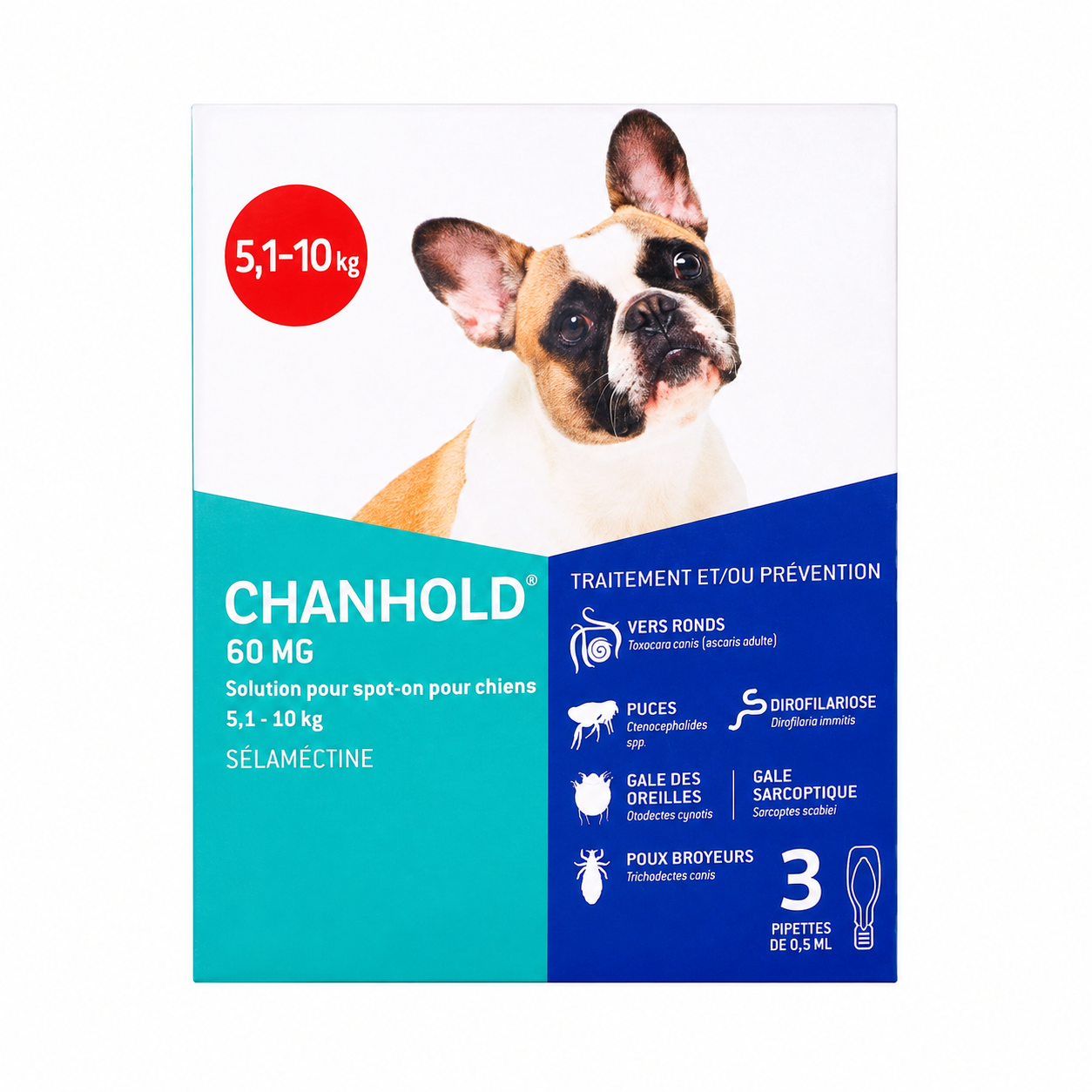 CHANHOLD 60 mg solution pour spot-on pour chiens de 5,1 à 10 kg boîte de 3 pipettes de 0,50 ml