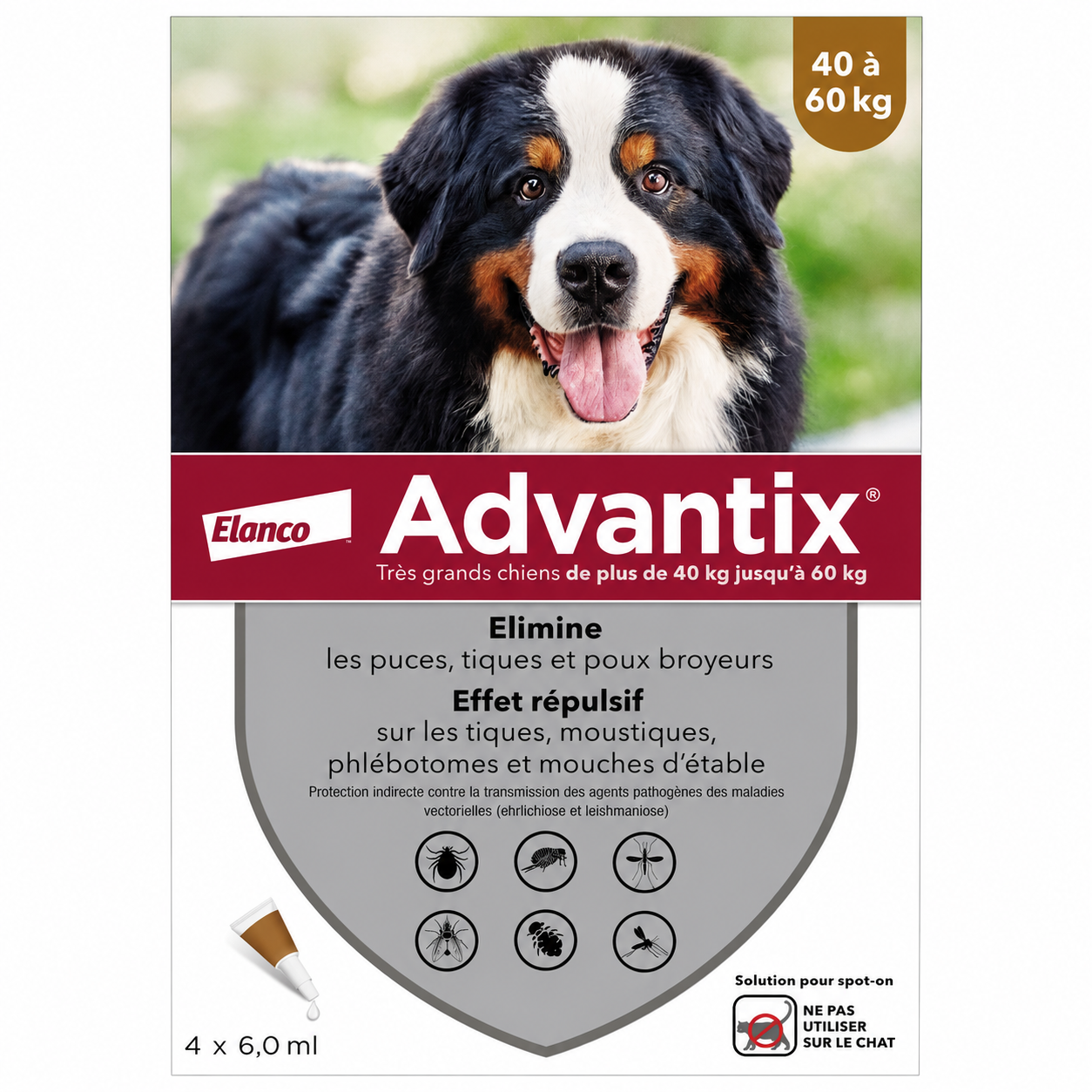ADVANTIX pour très grand chien de 40 à 60 kg solution spot-on boîte de 4 pipettes de 6 ml