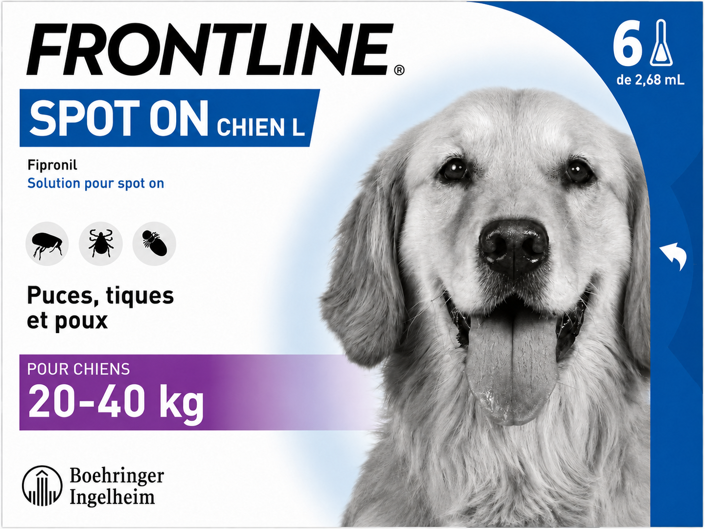 FRONTLINE SPOT-ON 268 mg spot-on pour chien L (20 à 40 kg)
