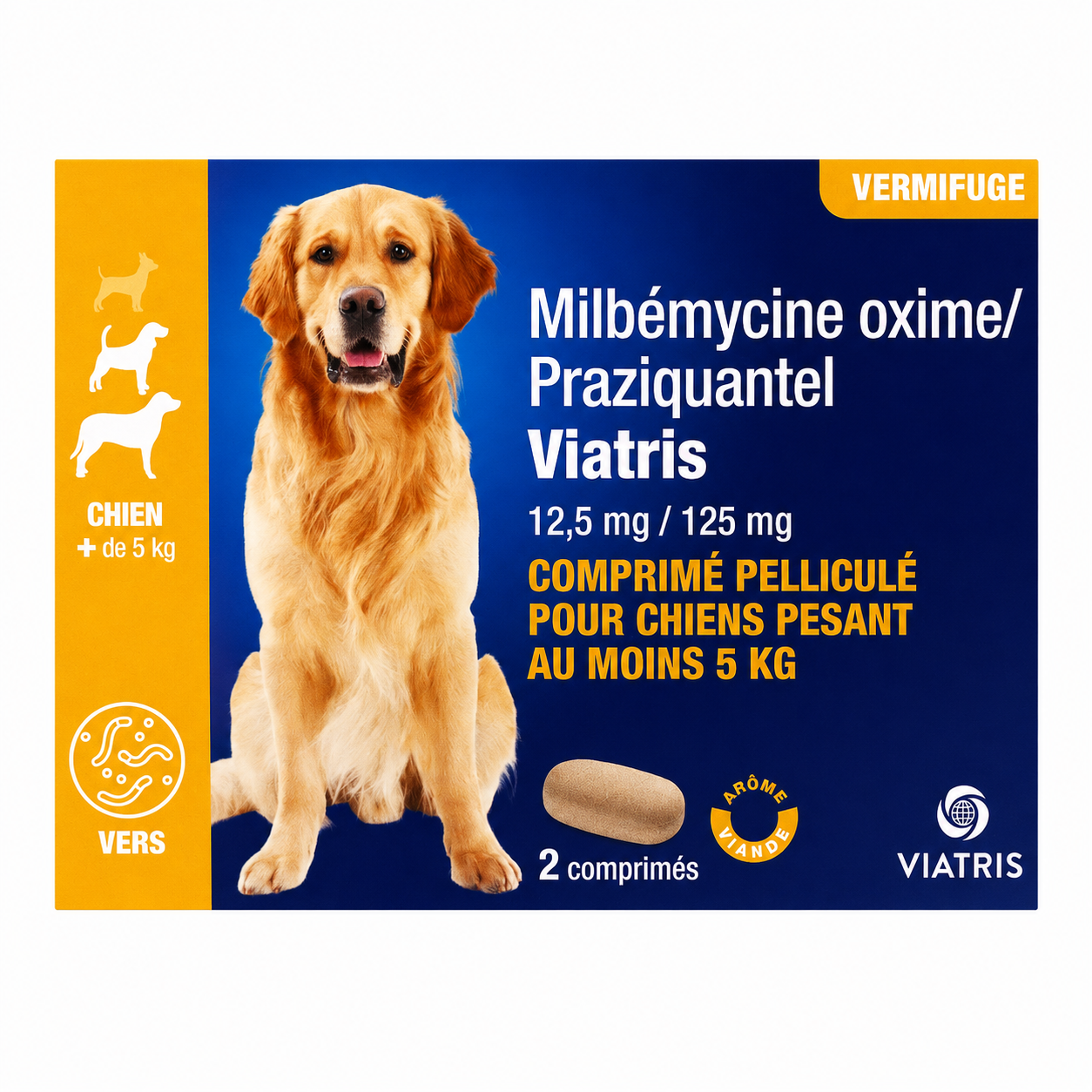 MILBÉMYCINE OXIME/PRAZIQUANTEL 12,5 mg/125 mg comprimés pelliculés pour chiens